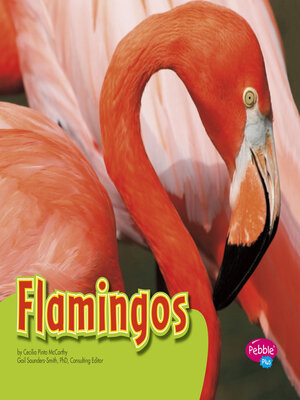 cover image of Flamingos
